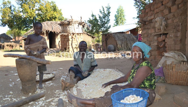 Government has place a ban on maize export 
