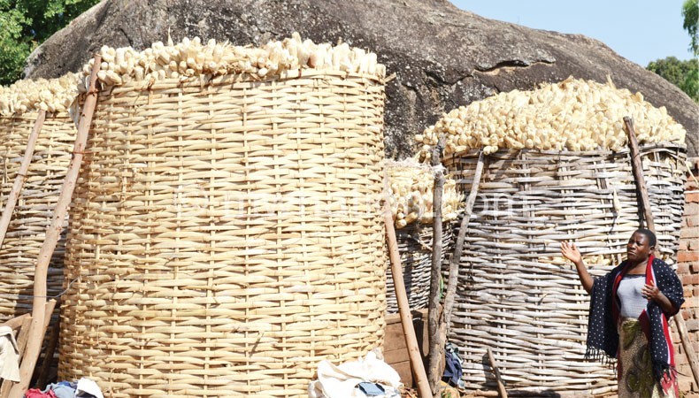 Maize silos (Nkhokwe): Traditional way of storing maize