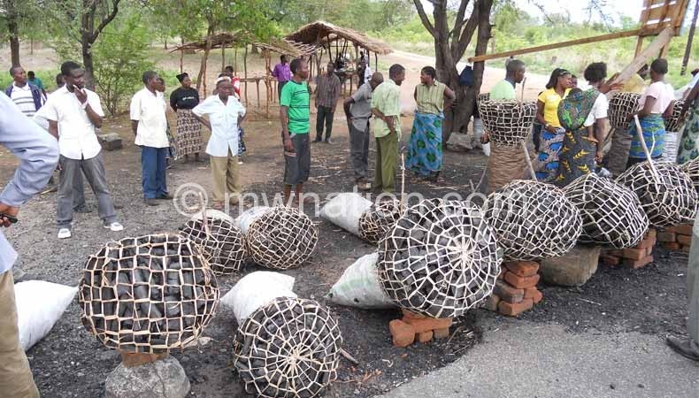 Most Malawians still rely on charcoal as source of energy