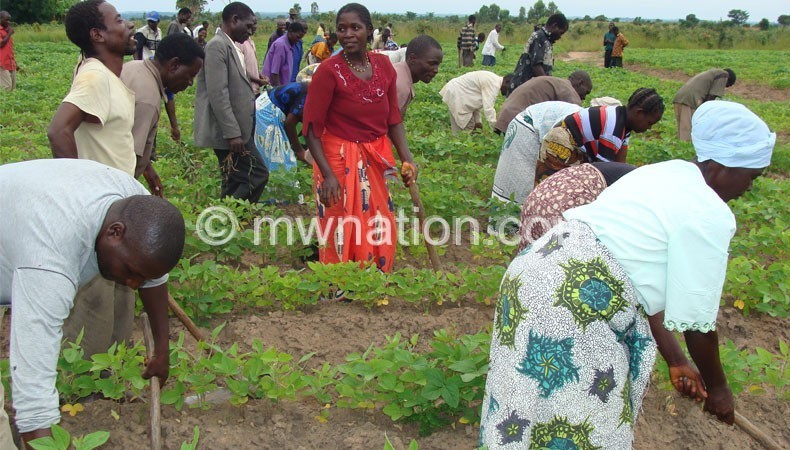 Malawi farmers need to adopt smart agriculture in the face of climate change