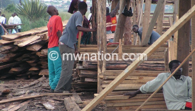 Trade in timber is booming within Malawi and abroad