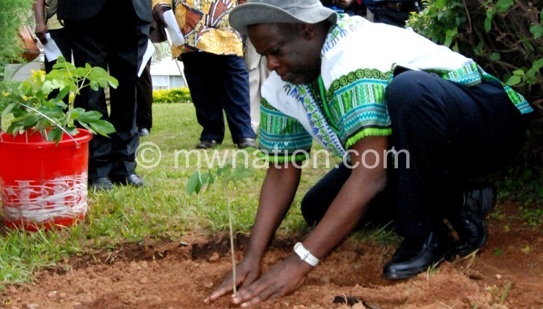 Saka planting a treee to mark the launch of Unima Golden Jubilee celebration