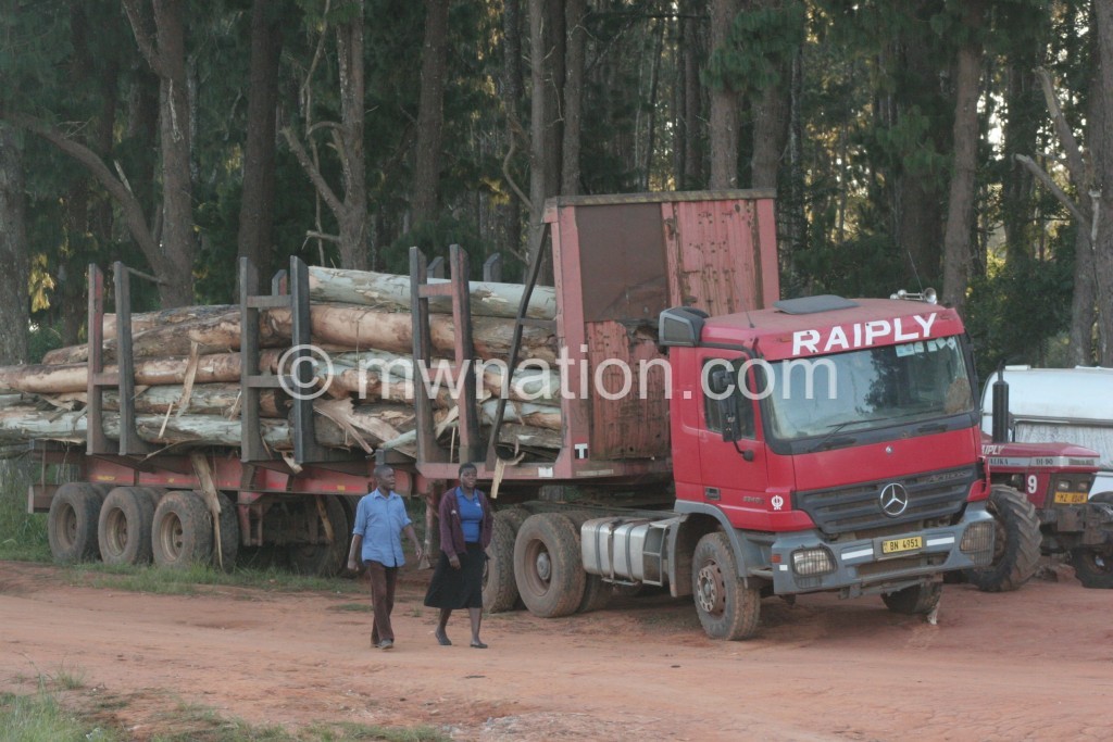 Truckload of logs at Raiply