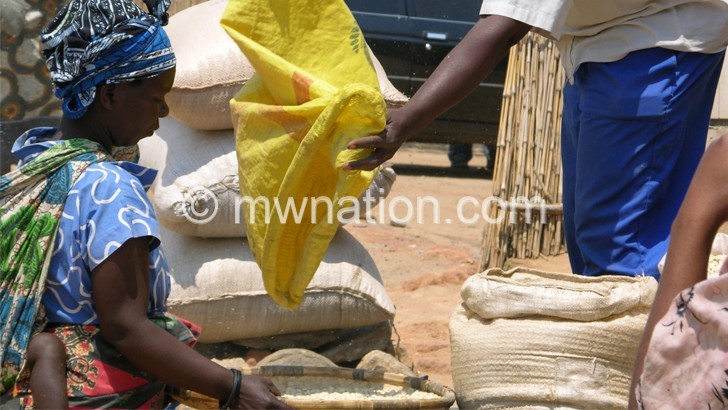 Police is zeroing in on illegal maize traders