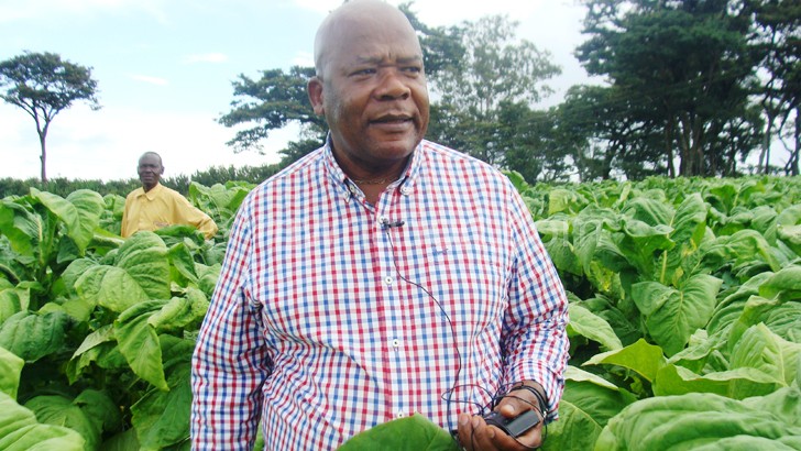  Munthali: We want to boost dark-fired tobacco production