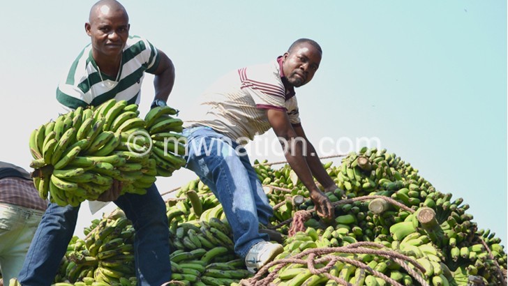 Tanzanian supplier Muhamad (L) offloading bananas helped by his agent