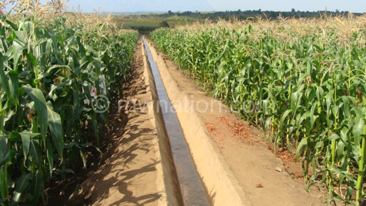 Dedza communities are benefitting from irrigation schemes such as this one
