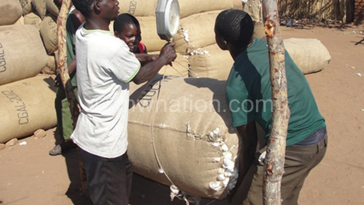 Poor prices have affected cotton production in Malawi