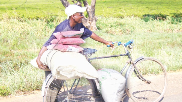 Cases of theft of subsidised fertiliser have become common