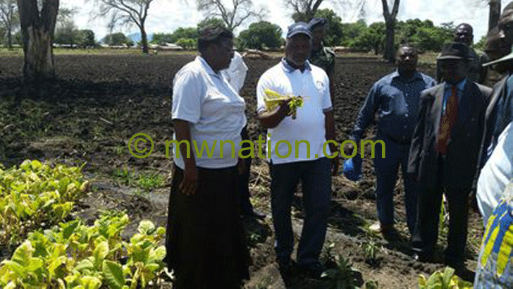 Chiyembekeza analyses a damaged tobacco plant as his principal secretary Erica Maganga and others look on