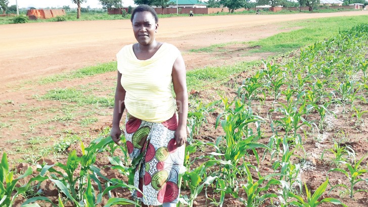 Alice Chunda stands in her maize garden where Central Region Water Board officials were barred from digging a trench until compensation issues are resolved