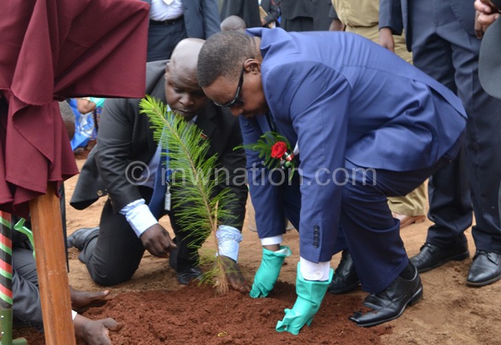 Mutharika planting a tree at Masasa Primary School in Ntcheu
