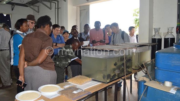 Researchers appreciating the fish farm at LUANAR Bunda Campus