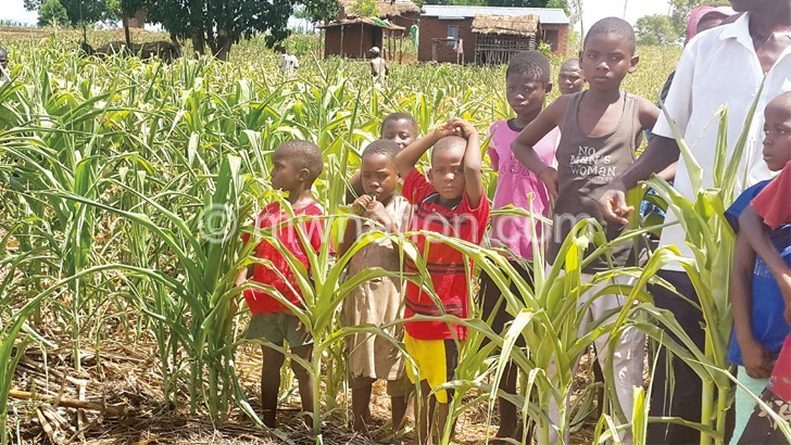 Most maize wilted due to extreme dry weather conditions, which will lead to hunger this year
