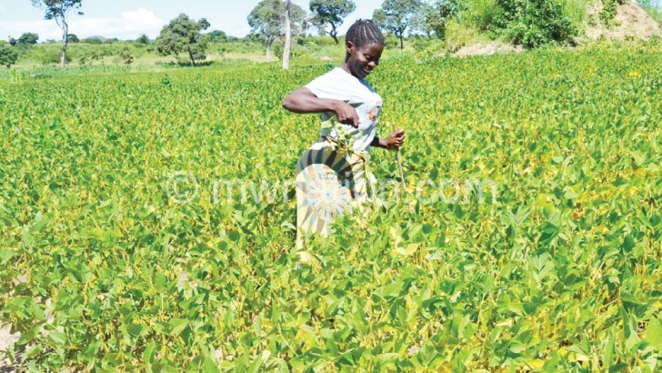Soya farmers are reaping benefit from the project 