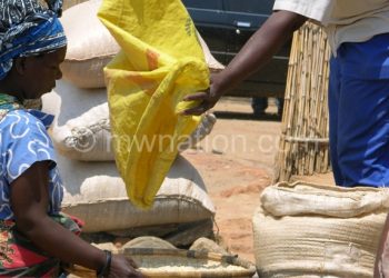 Police is zeroing in on illegal maize traders
