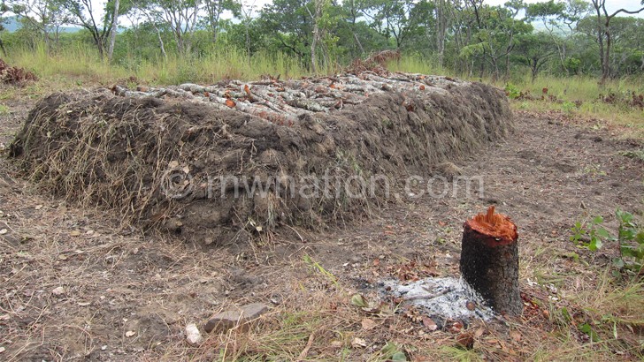 Part of destruction humans have caused in Dzalanyama Forest Reserve