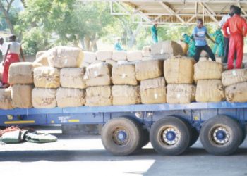Tobacco transporters allegedly receive bribes from growers
