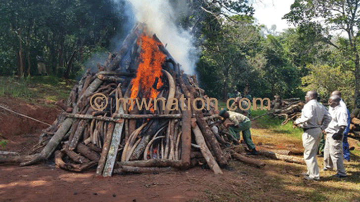 Some trophies burnt to discourage the illegal trade