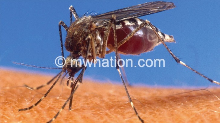 Malaria cases high inirrigation schemes—study