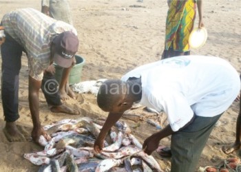 Fish mongers on arrival  from Tchalo