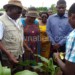 Chaponda (2nd L) being shown a leaf damaged by armyworms