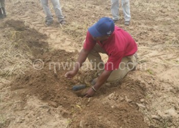 Nyirenda planting a tree during the function