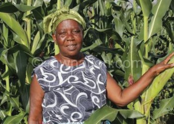 Malawi needs to develop markets for crops to transform agriculture