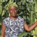 Malawi needs to develop markets for crops to transform agriculture
