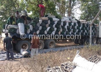 Part of the confiscated charcoal in Dzalanyama