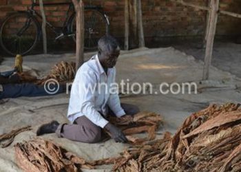 Tobacco growers cried foul due to depressed prices this year