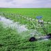 Modern irrigation technologies such as this can help Malawi become food secure