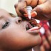 A child gets the oral vaccine