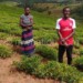 Mwale and his wife in their groundnuts farm