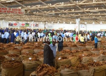 International regulations could affet Malawi’s tobacco earnings