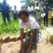 Chanje planting a bamboo