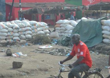 Traders selling maize at a local market