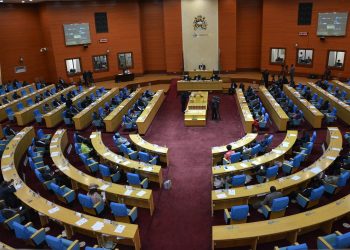 Parliament debated Mkweza court ruling