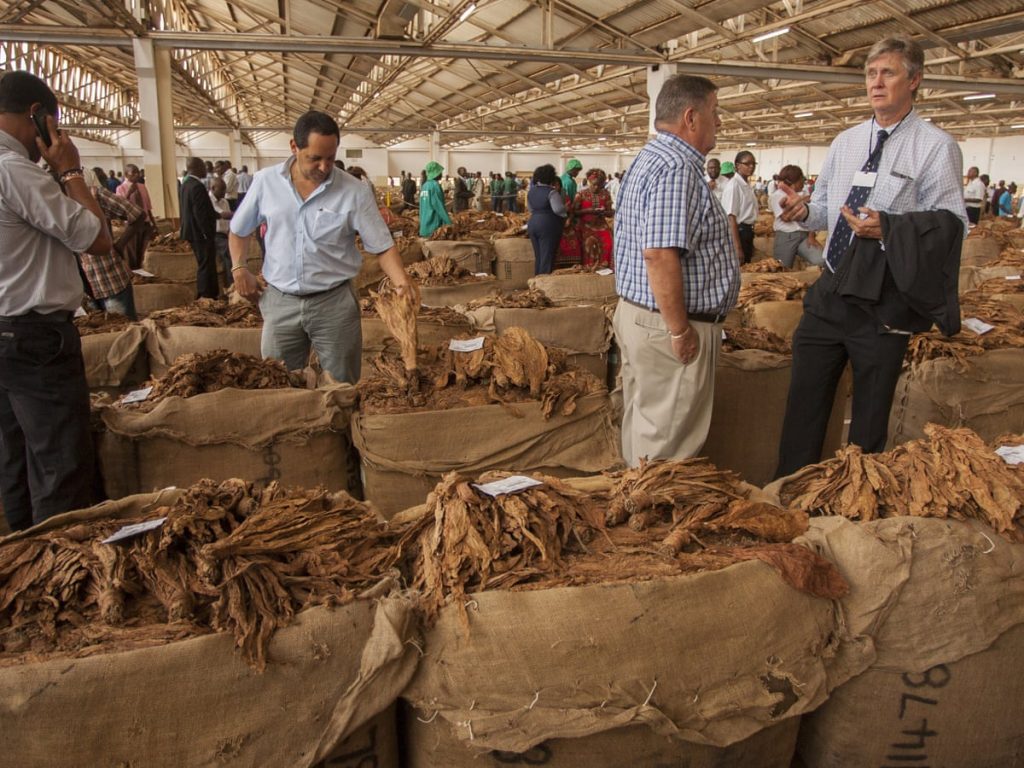 Tobacco farmers smiled all the way to the bank