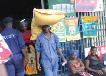 A Farmer carry a bag of fertiliser acquired under 2021/22 AIP