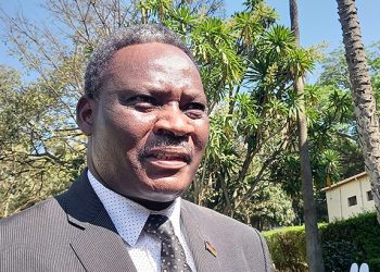 Mzikamanda: We may
not all get therea