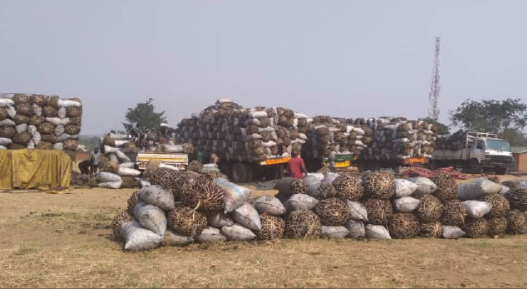 MDF, forestry arrest charcoal traffickers