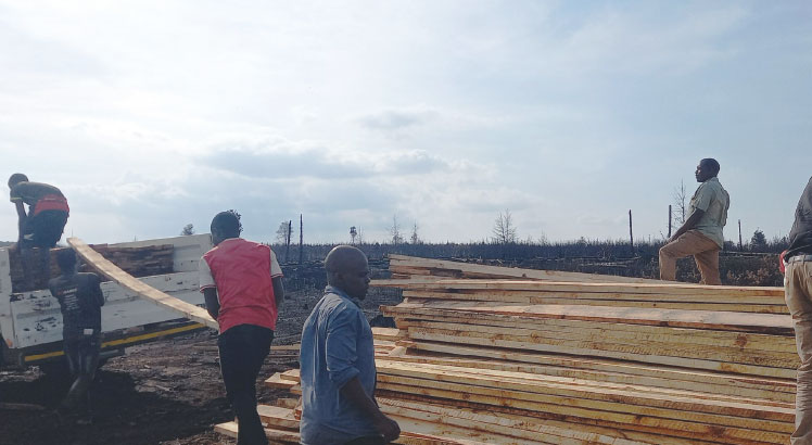 70 schools to benefit from timber milling