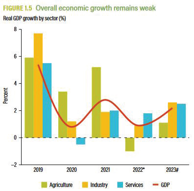 Poverty Fight Faces Hitches Nation Online   Graph.bmp