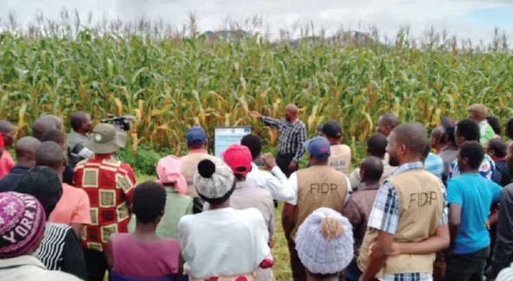 Farmer cooperatives key to agriculture productivity