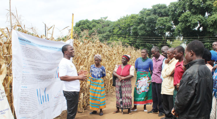 Farmer field schools key to food security—ministry