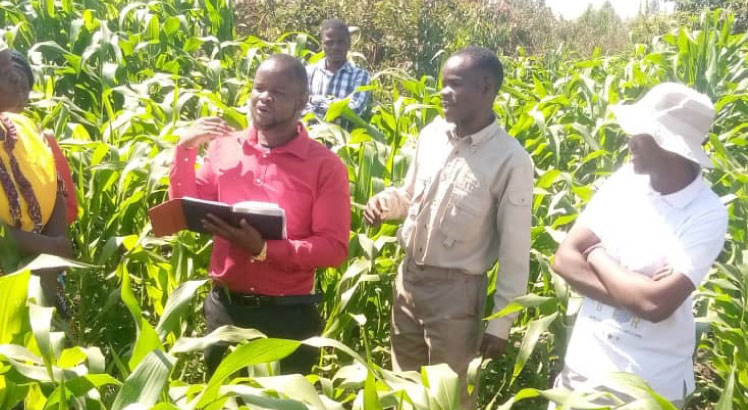 NGO supports irrigation farming in Lilongwe