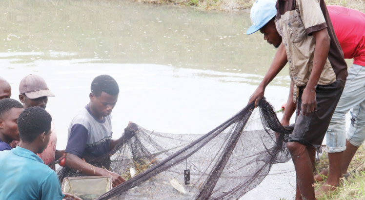 Neno Council banks on fish farming to empower people