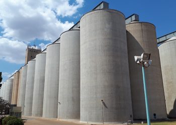Some of the NFRA grain reserves