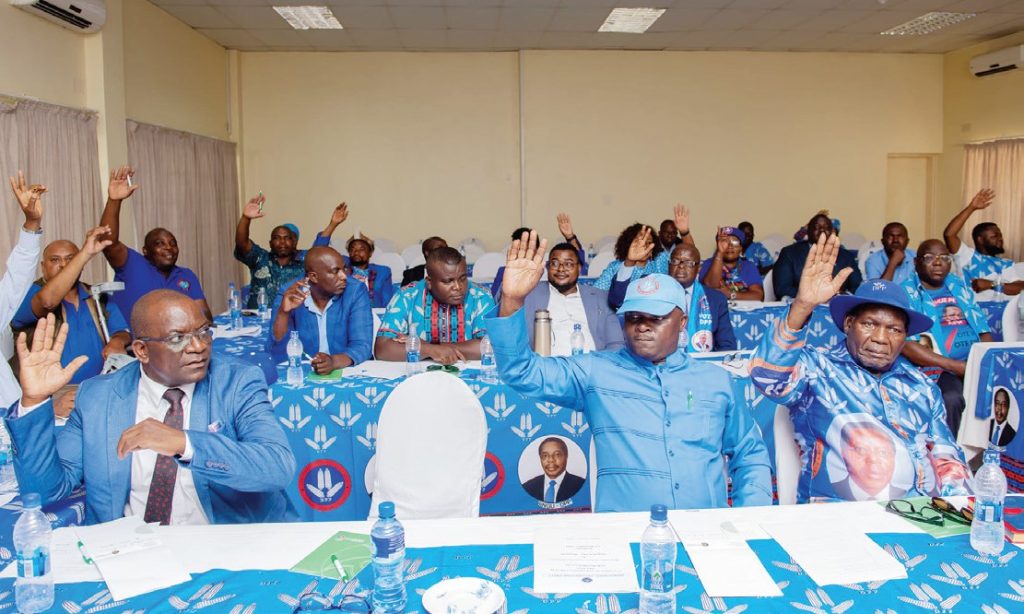 DPP plans convention for July